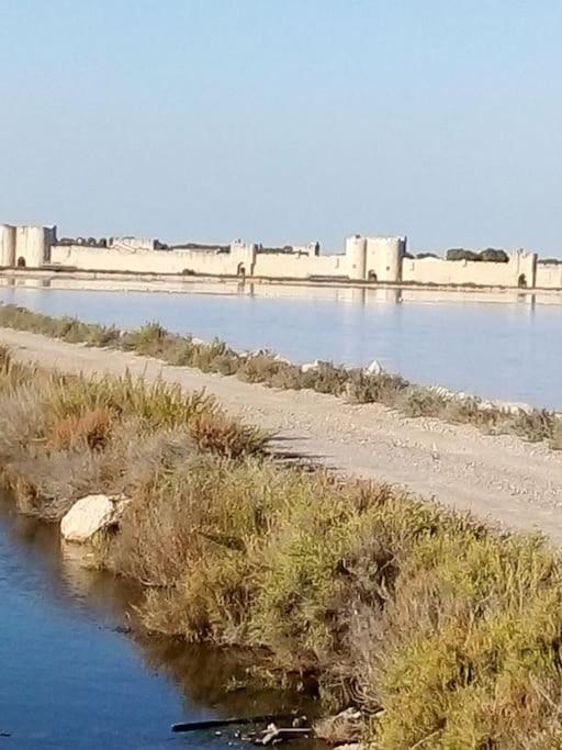 Aigues Mortes Studio De Vacances En Camargue Exteriör bild
